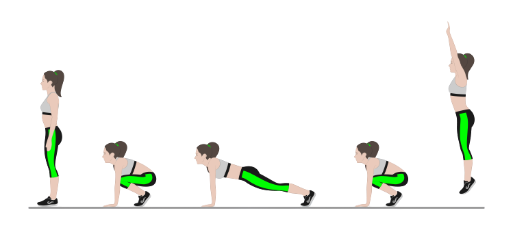 Burpee